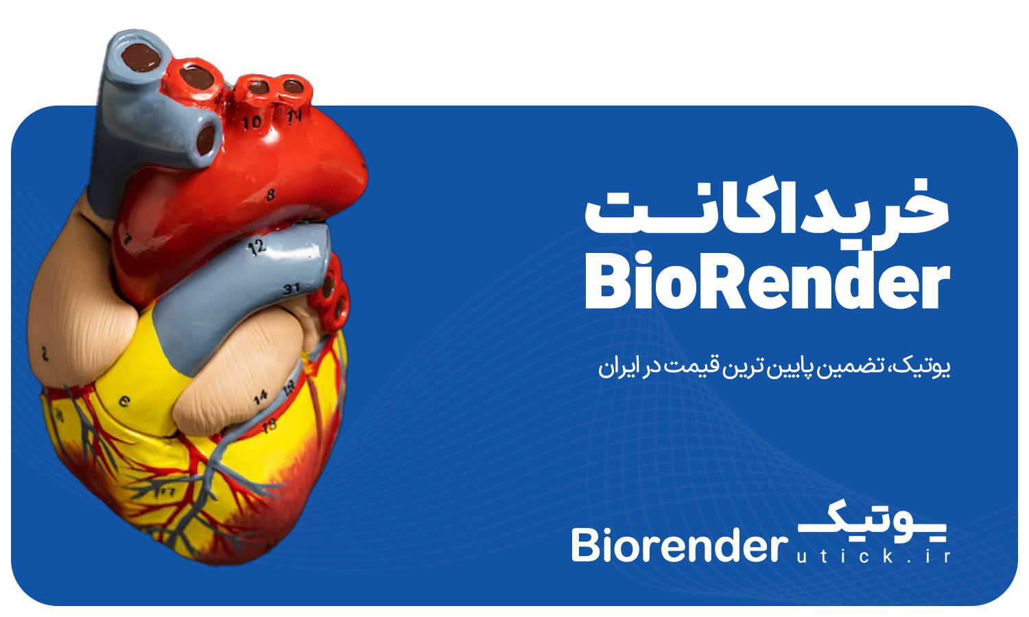 خرید اکانت BioRender